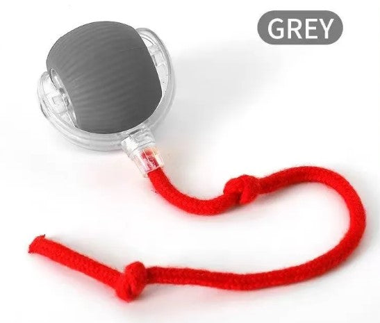 Speedy Tail Cat Toy Ball – Bite-Resistant Chase Toy