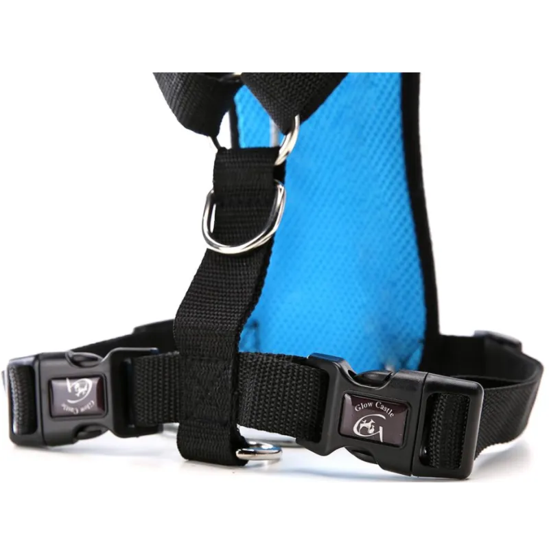 Breathable Mesh Dog Harness – Car Safety & Everyday Walks