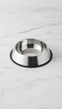 Minimalist Stainless Steel Pet Bowl