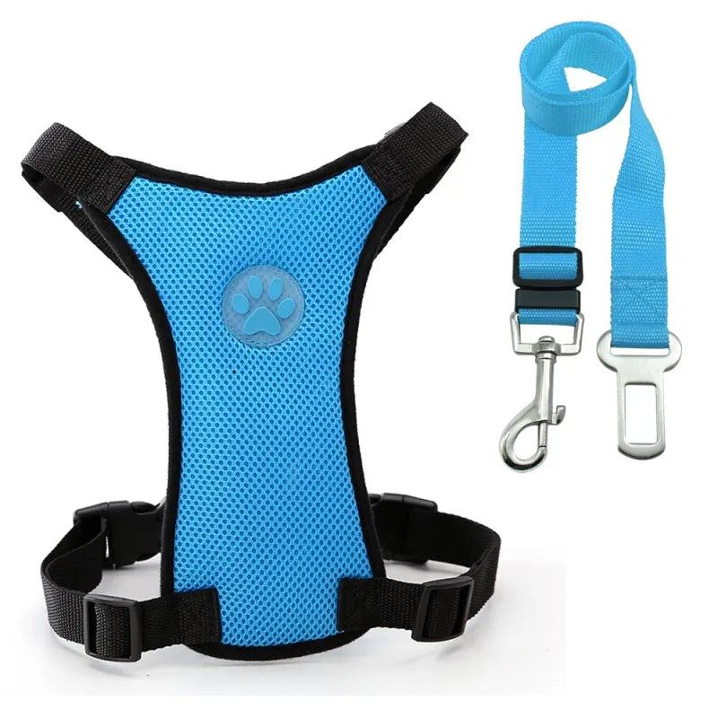 Breathable Mesh Dog Harness – Car Safety & Everyday Walks