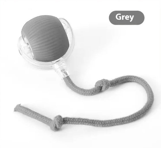 Speedy Tail Cat Toy Ball – Bite-Resistant Chase Toy