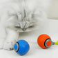 Speedy Tail Cat Toy Ball – Bite-Resistant Chase Toy