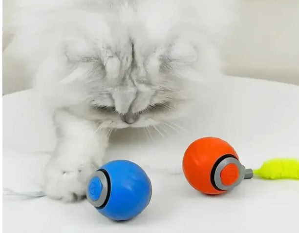 Speedy Tail Cat Toy Ball – Bite-Resistant Chase Toy