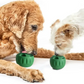 Dog Slow Feeder Bowl – Anti-Gulp Puzzle Dish