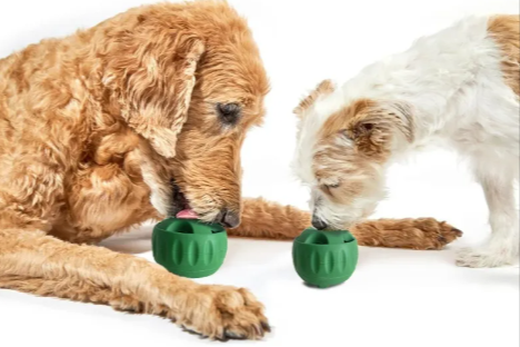 Dog Slow Feeder Bowl – Anti-Gulp Puzzle Dish