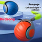 Speedy Tail Cat Toy Ball – Bite-Resistant Chase Toy