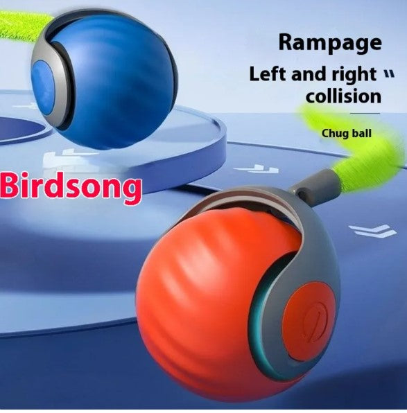 Speedy Tail Cat Toy Ball – Bite-Resistant Chase Toy