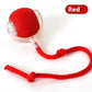 Speedy Tail Cat Toy Ball – Bite-Resistant Chase Toy