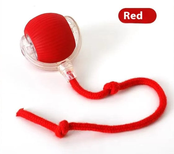 Speedy Tail Cat Toy Ball – Bite-Resistant Chase Toy